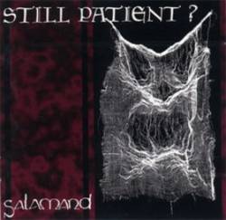 Still Patient : Salamand
